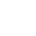 Nut icon